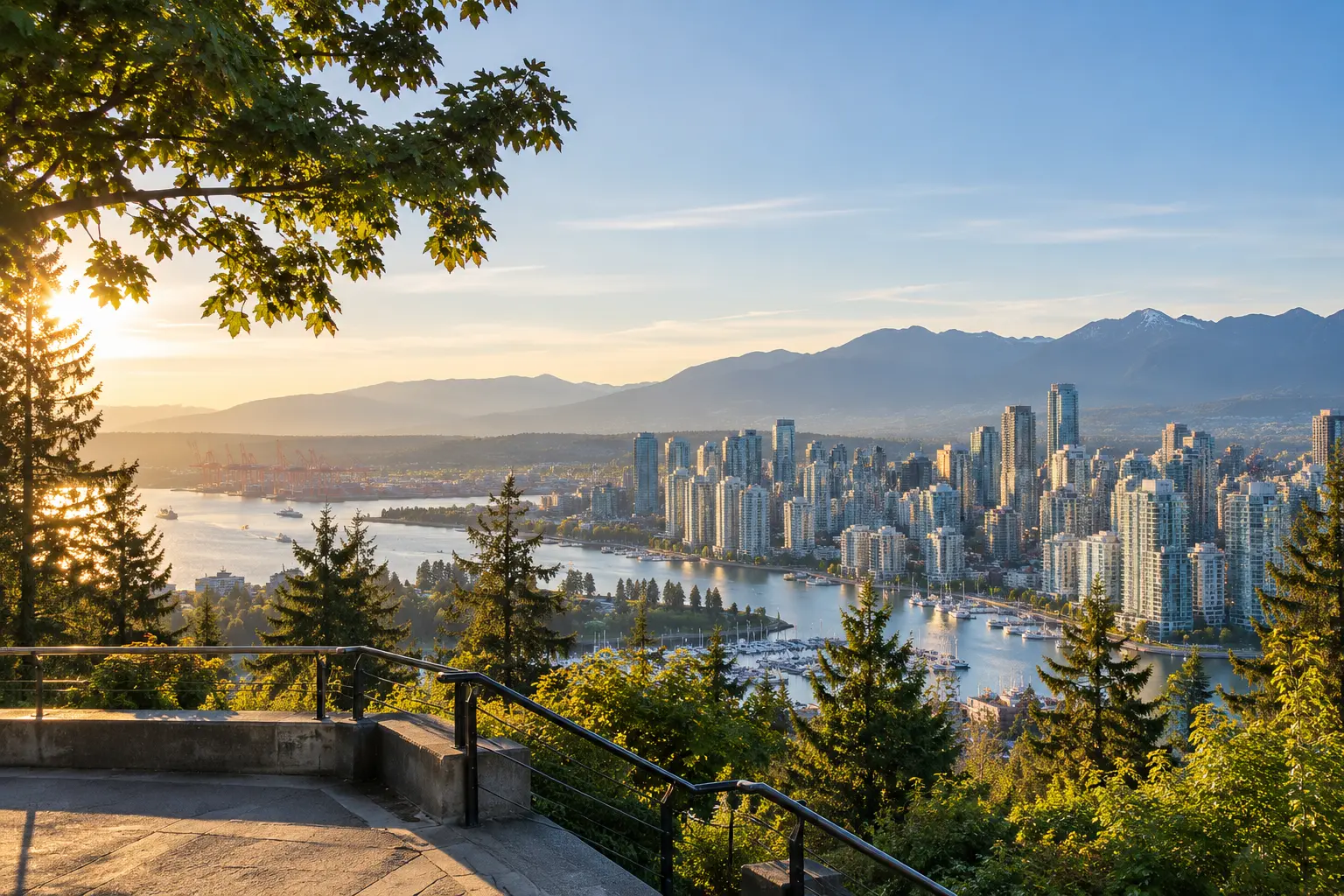 Morning light over Coal Harbour and the downtown Vancouver skyline seen from a forested lookout